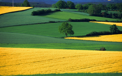 471879 (a): :1920x1200